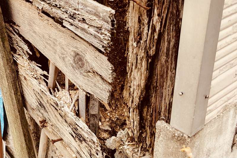 メンテナンスで重要なシロアリ対策と防蟻工事